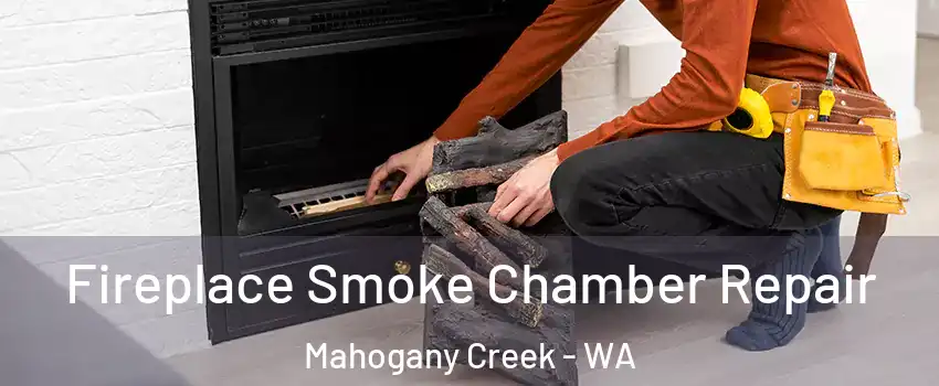 Fireplace Smoke Chamber Repair Mahogany Creek - WA