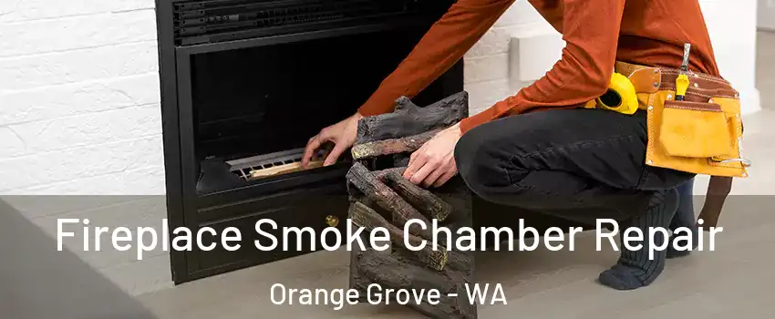 Fireplace Smoke Chamber Repair Orange Grove - WA