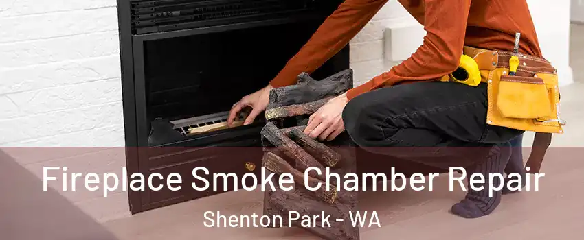 Fireplace Smoke Chamber Repair Shenton Park - WA