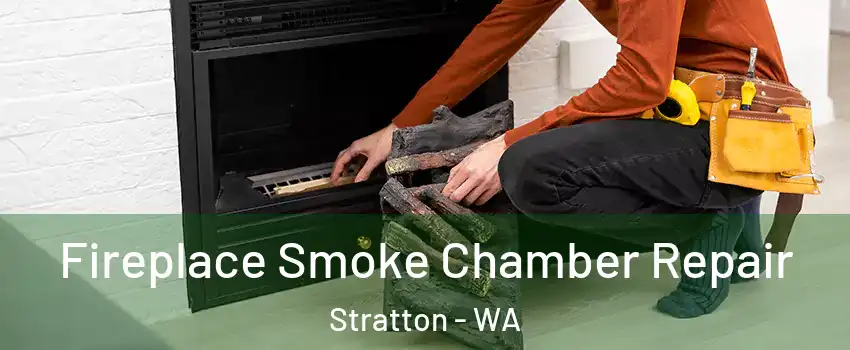 Fireplace Smoke Chamber Repair Stratton - WA