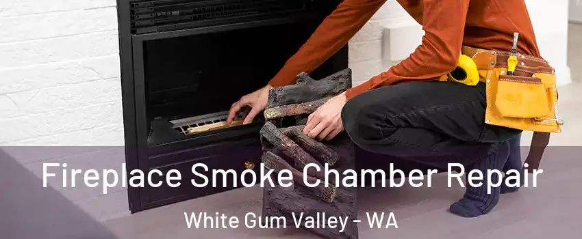 Fireplace Smoke Chamber Repair White Gum Valley - WA
