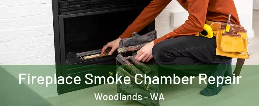 Fireplace Smoke Chamber Repair Woodlands - WA