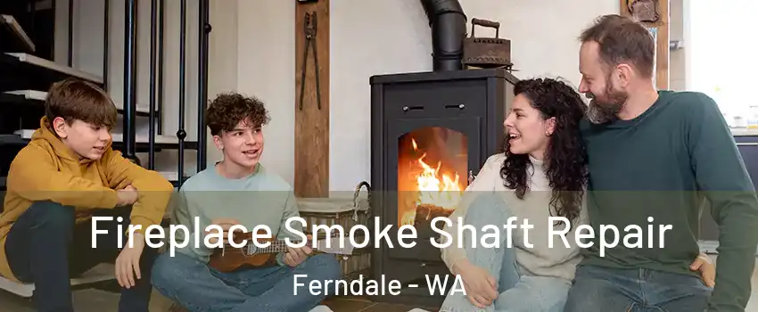 Fireplace Smoke Shaft Repair Ferndale - WA