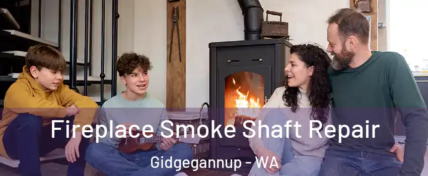 Fireplace Smoke Shaft Repair Gidgegannup - WA