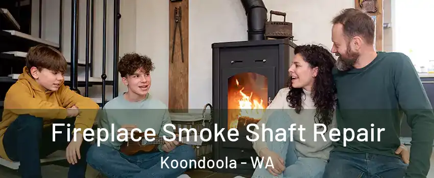 Fireplace Smoke Shaft Repair Koondoola - WA