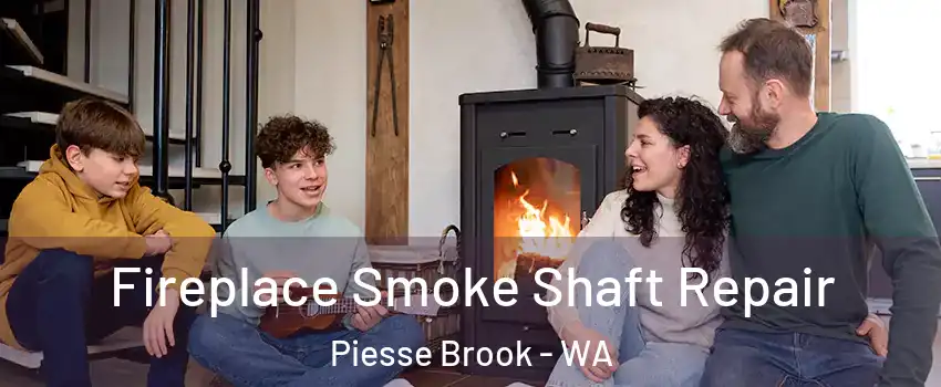 Fireplace Smoke Shaft Repair Piesse Brook - WA