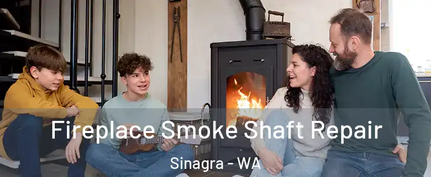 Fireplace Smoke Shaft Repair Sinagra - WA