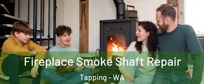 Fireplace Smoke Shaft Repair Tapping - WA