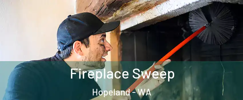 Fireplace Sweep Hopeland - WA