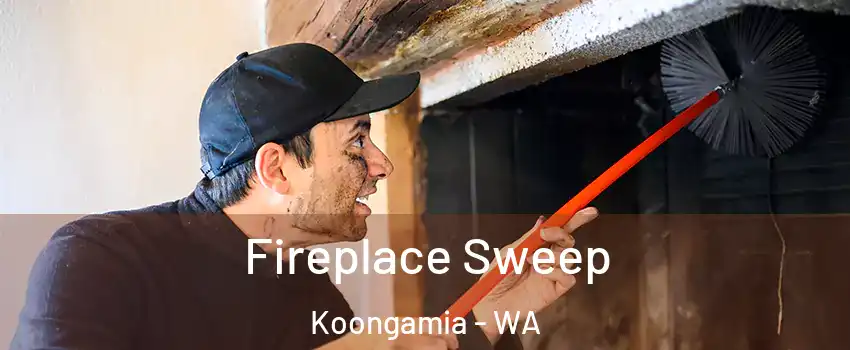 Fireplace Sweep Koongamia - WA