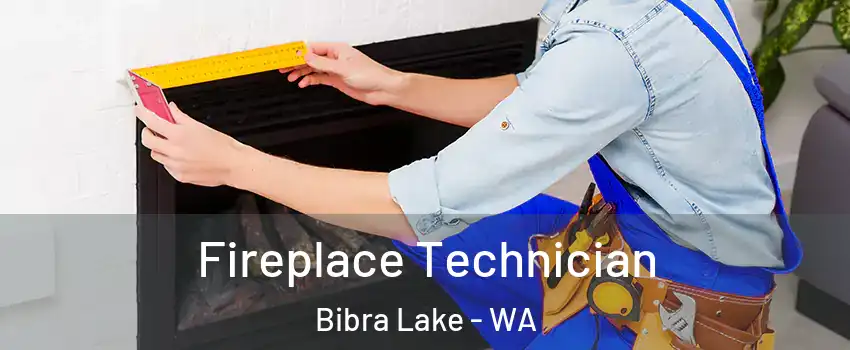 Fireplace Technician Bibra Lake - WA