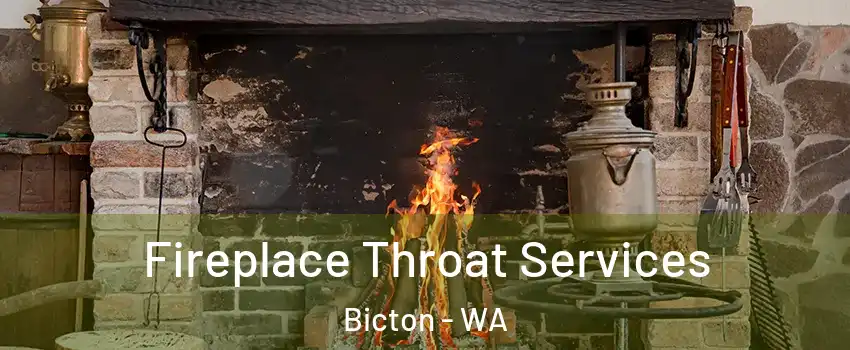 Fireplace Throat Services Bicton - WA