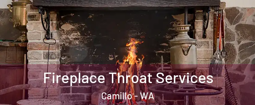 Fireplace Throat Services Camillo - WA