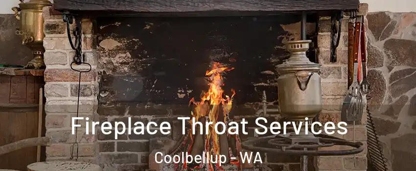 Fireplace Throat Services Coolbellup - WA