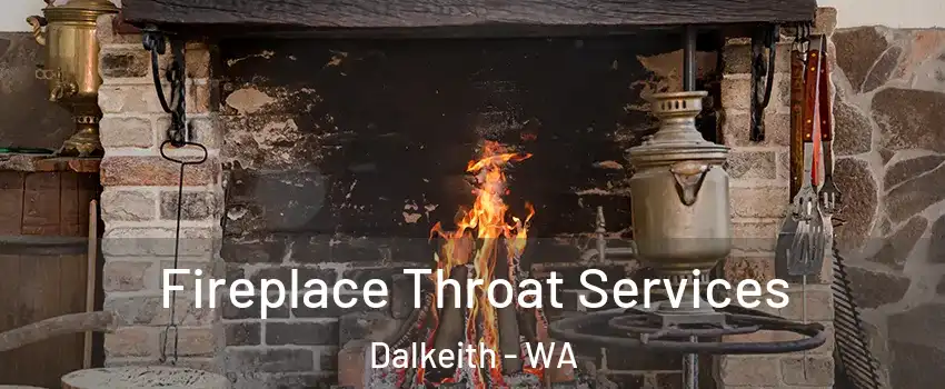  Fireplace Throat Services Dalkeith - WA