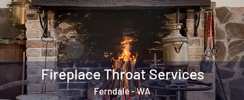 Fireplace Throat Services Ferndale - WA
