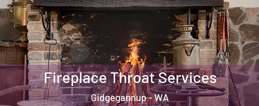 Fireplace Throat Services Gidgegannup - WA