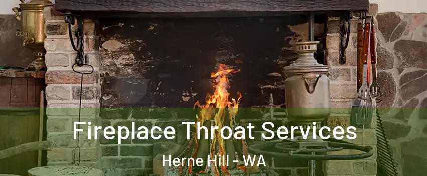  Fireplace Throat Services Herne Hill - WA
