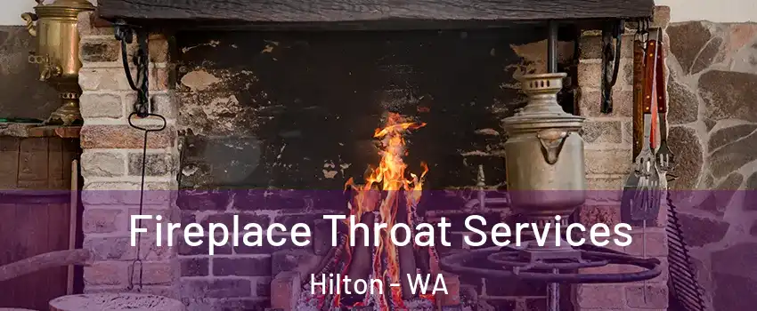 Fireplace Throat Services Hilton - WA