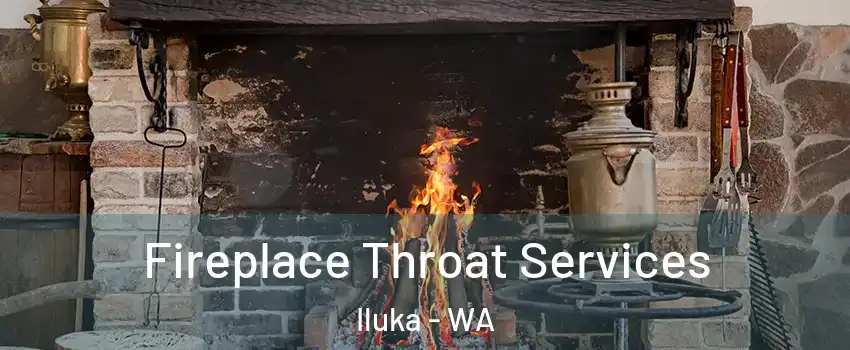 Fireplace Throat Services Iluka - WA