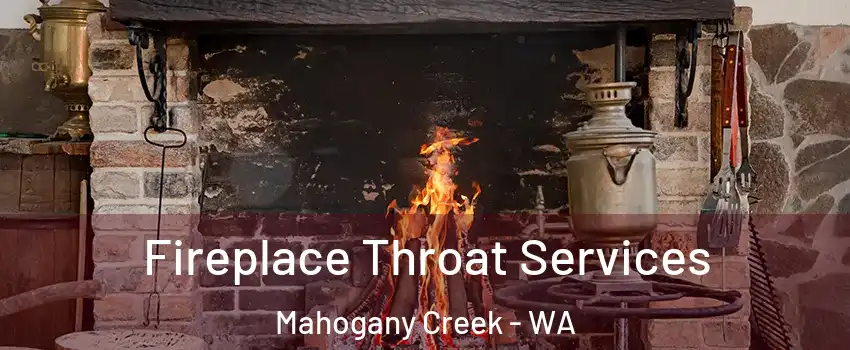 Fireplace Throat Services Mahogany Creek - WA