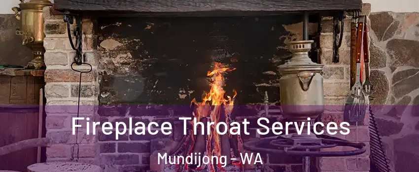 Fireplace Throat Services Mundijong - WA