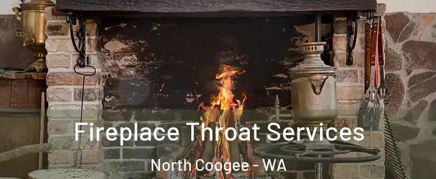 Fireplace Throat Services North Coogee - WA