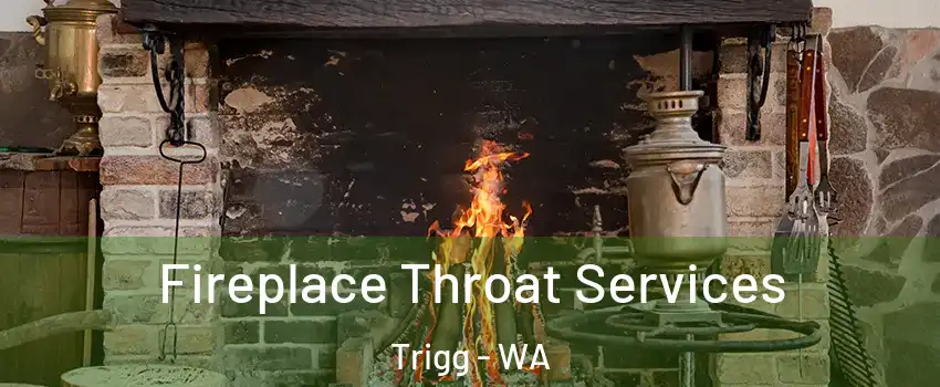 Fireplace Throat Services Trigg - WA