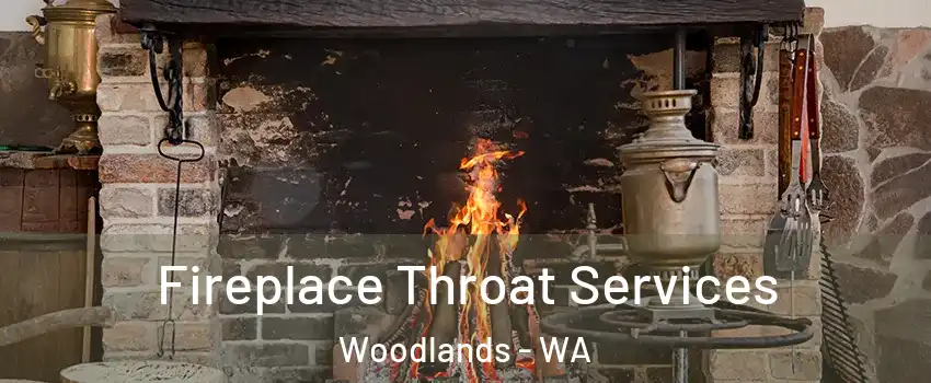 Fireplace Throat Services Woodlands - WA