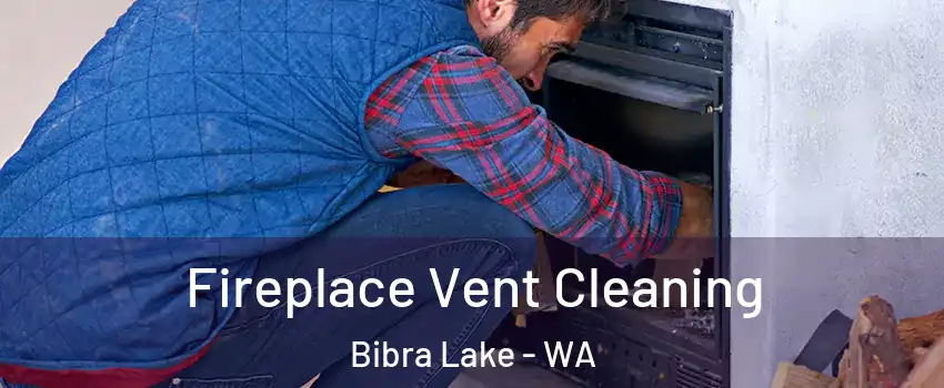 Fireplace Vent Cleaning Bibra Lake - WA