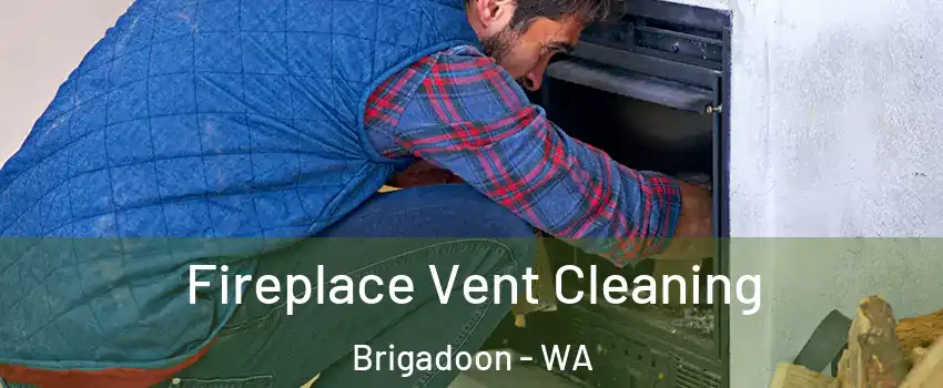 Fireplace Vent Cleaning Brigadoon - WA
