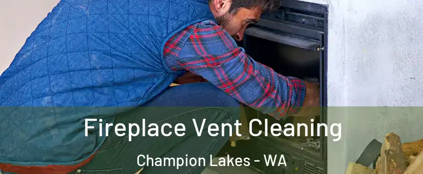 Fireplace Vent Cleaning Champion Lakes - WA