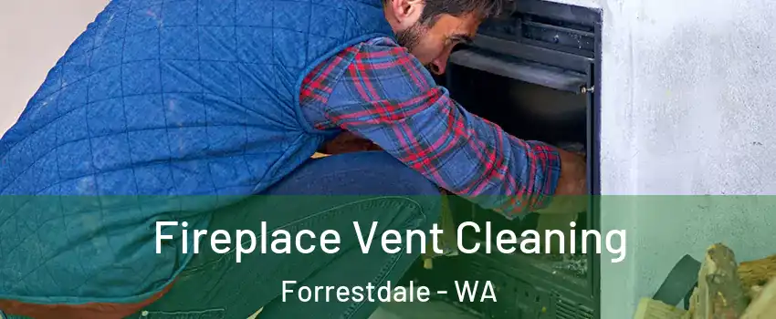 Fireplace Vent Cleaning Forrestdale - WA