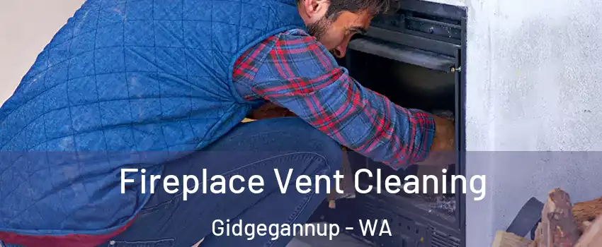 Fireplace Vent Cleaning Gidgegannup - WA