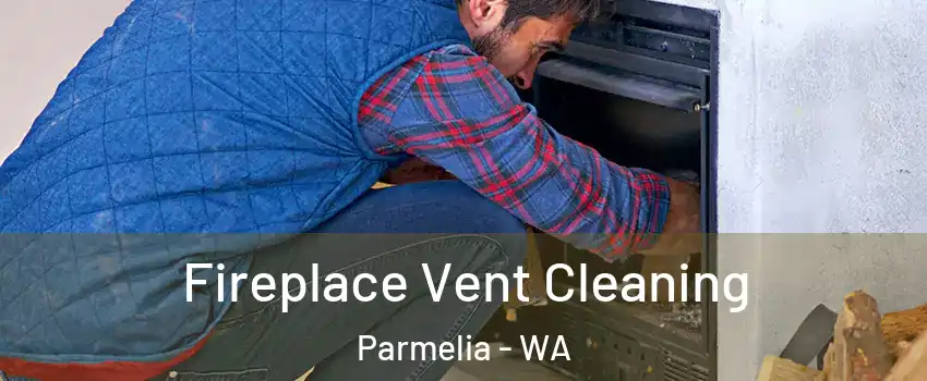 Fireplace Vent Cleaning Parmelia - WA