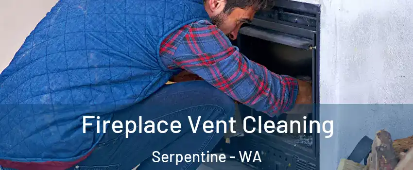 Fireplace Vent Cleaning Serpentine - WA