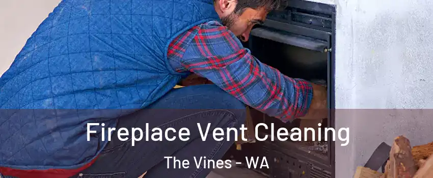 Fireplace Vent Cleaning The Vines - WA