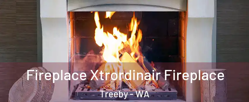 Fireplace Xtrordinair Fireplace Treeby - WA