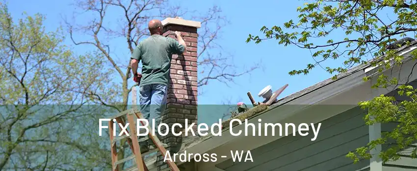 Fix Blocked Chimney Ardross - WA