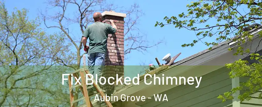 Fix Blocked Chimney Aubin Grove - WA