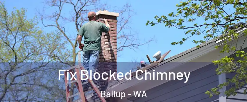 Fix Blocked Chimney Bailup - WA