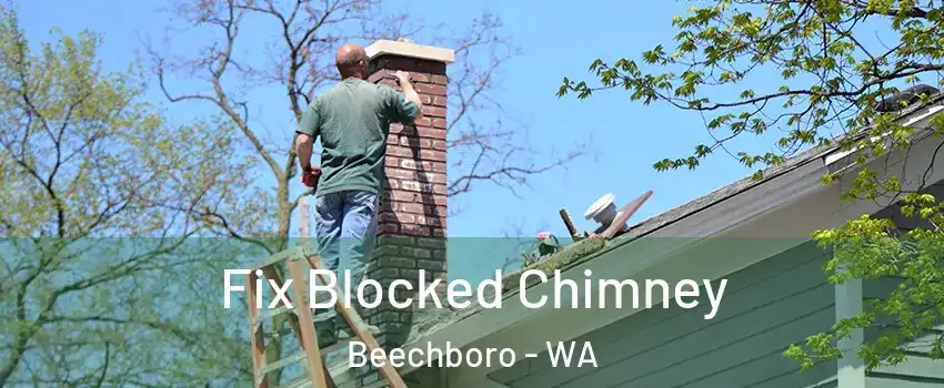 Fix Blocked Chimney Beechboro - WA