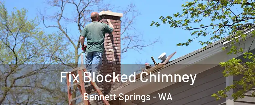 Fix Blocked Chimney Bennett Springs - WA