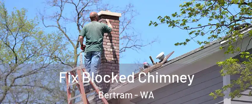Fix Blocked Chimney Bertram - WA