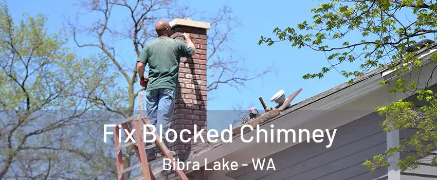 Fix Blocked Chimney Bibra Lake - WA
