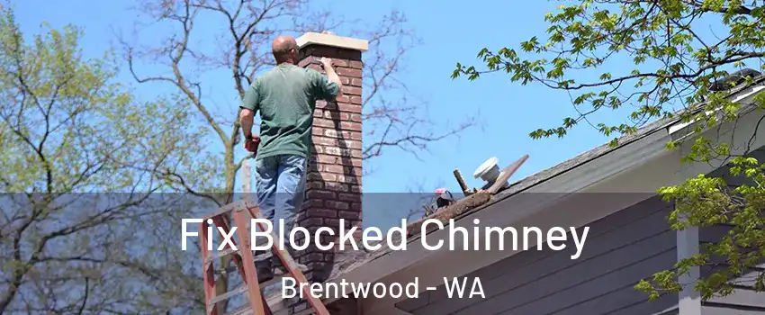 Fix Blocked Chimney Brentwood - WA
