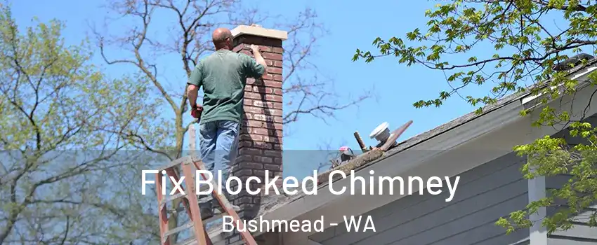 Fix Blocked Chimney Bushmead - WA