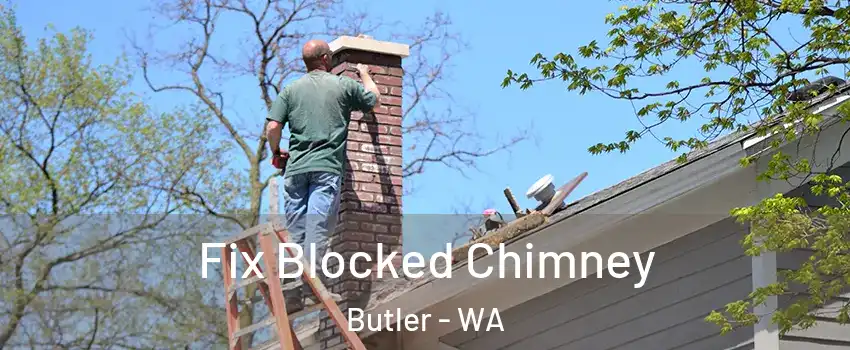 Fix Blocked Chimney Butler - WA