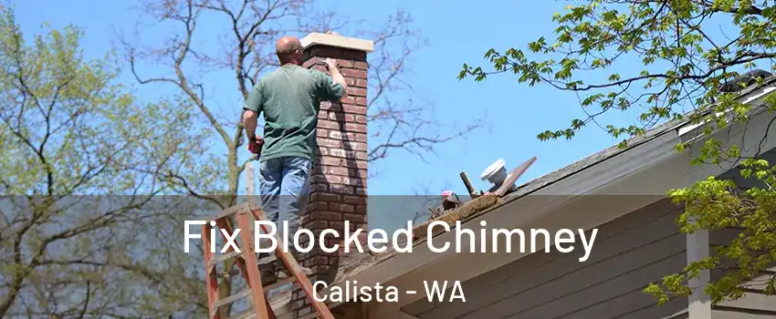 Fix Blocked Chimney Calista - WA