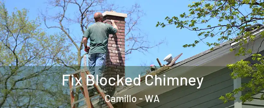Fix Blocked Chimney Camillo - WA
